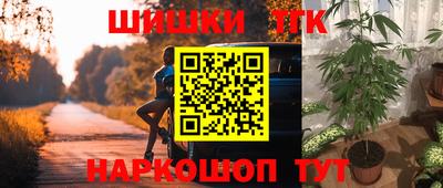 сатива Ярославль