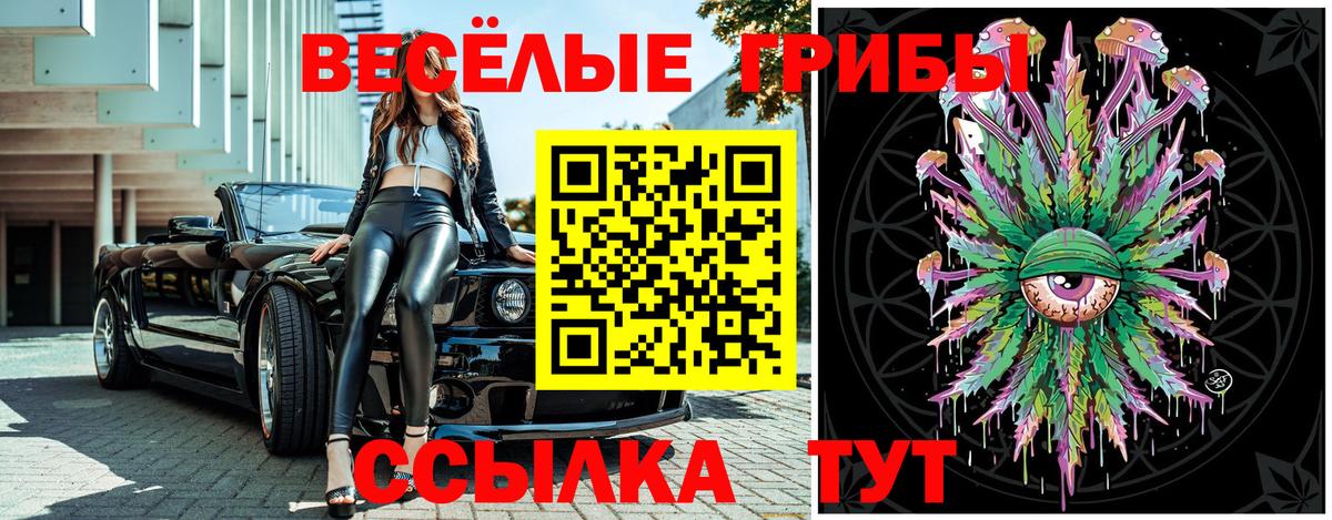 Псилоцибиновые грибы Psilocybe Зеленодольск