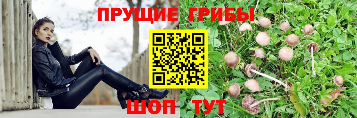 Зеленодольск  Галлюциногенные грибы Psilocybe  Псилоцибиновые грибы ЛСД  Вход с VPN 
